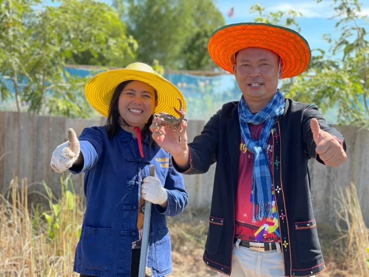 กิจกรรมเอามื้อสามัคคี แปลง นางสาวพัฒยา กุณโฮง หมู่ที่ 10 ตำบลหนองกุงศรี